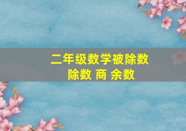 二年级数学被除数 除数 商 余数